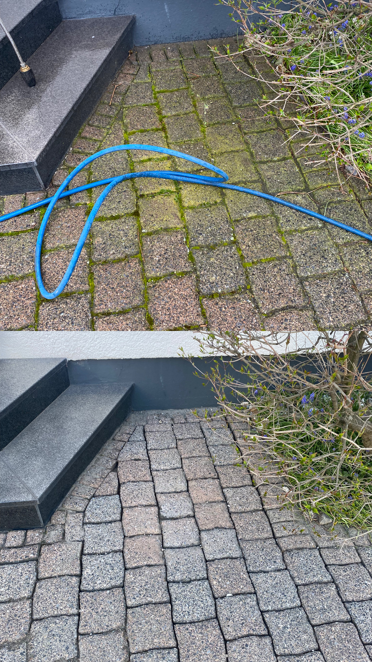 <wir-machen-steine-sauber.de