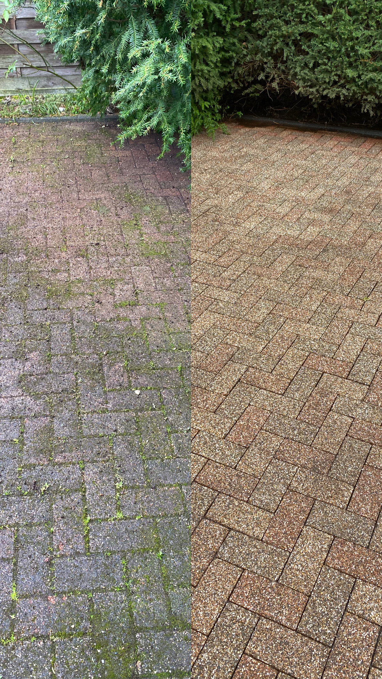 <wir-machen-steine-sauber.de